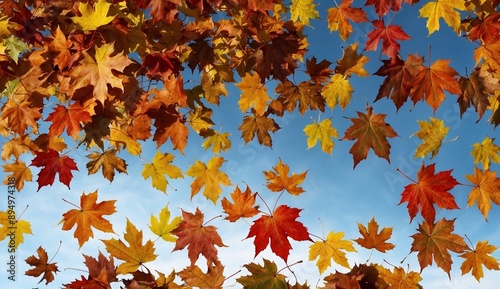 Bright autumn leaves against a clear blue sky