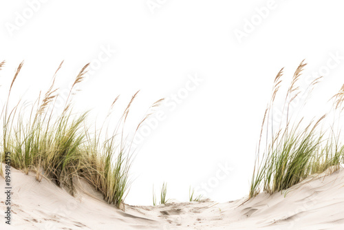 Fototapeta Naklejka Na Ścianę i Meble -  Coastal dune grassland scenery