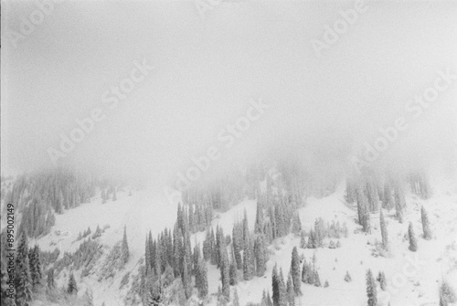 misty morning in the mountains