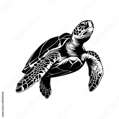 a black line vector illustration of a sea turtle, showcasing detailed patterns on its shell, flippers, and head with a clean, stylized design.