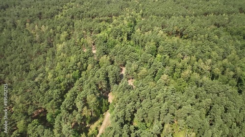 Green forest in summer, drone POV aerial shot of lush woodland landscape