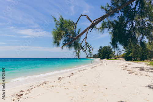 Beautiful scene of a white sand beach and tropical vegetation along Puru Kambera Beach, East Nusa Tenggara, Indonesia; Hamba Praing, Kanatang, East Sumba Regency, East Nusa Tenggara, Indonesia photo