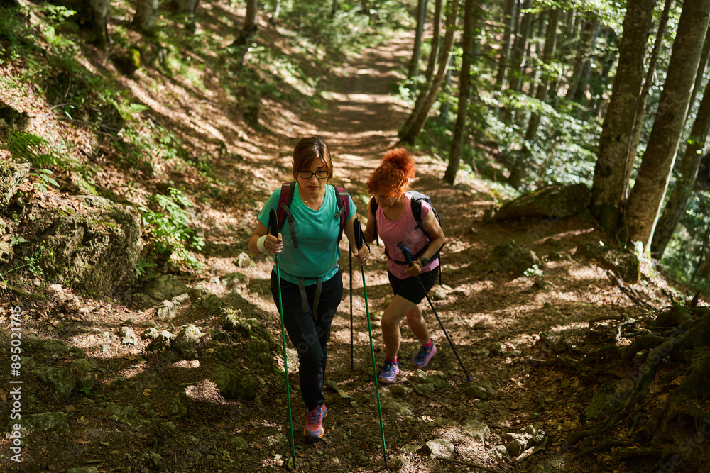 Women hikers with backpacks and poles in the forest Women hikers with backpacks and poles in the forest