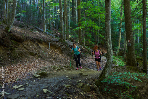 Women hikers with backpacks and poles in the forest