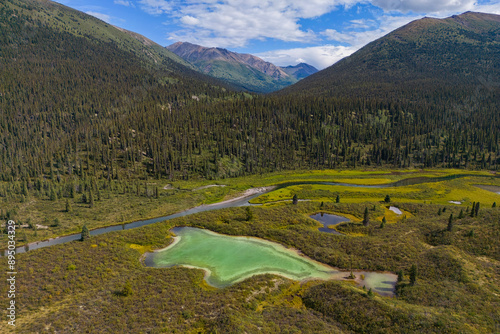 Wallpaper Mural Aerial view of a green lake in the forested valley on the Ross River along the South Canol Road in Central Yukon with mountain peaks in the distance; Ross River, Yukon, Canada Torontodigital.ca