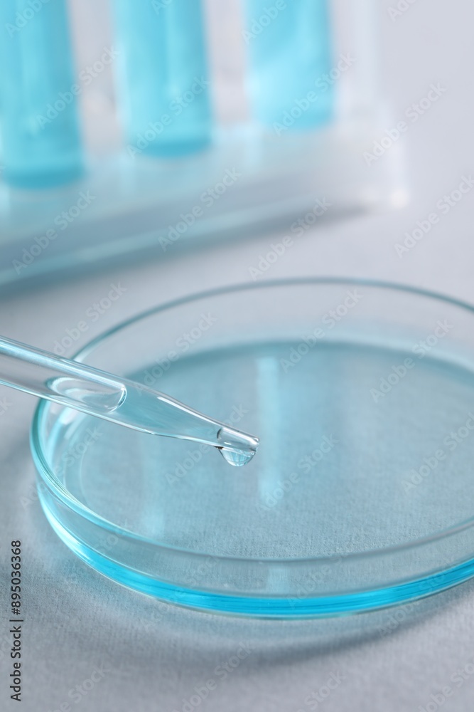 Dripping liquid from pipette into petri dish on light table, closeup. Laboratory analysis Dripping liquid from pipette into petri dish on light table, closeup. Laboratory analysis