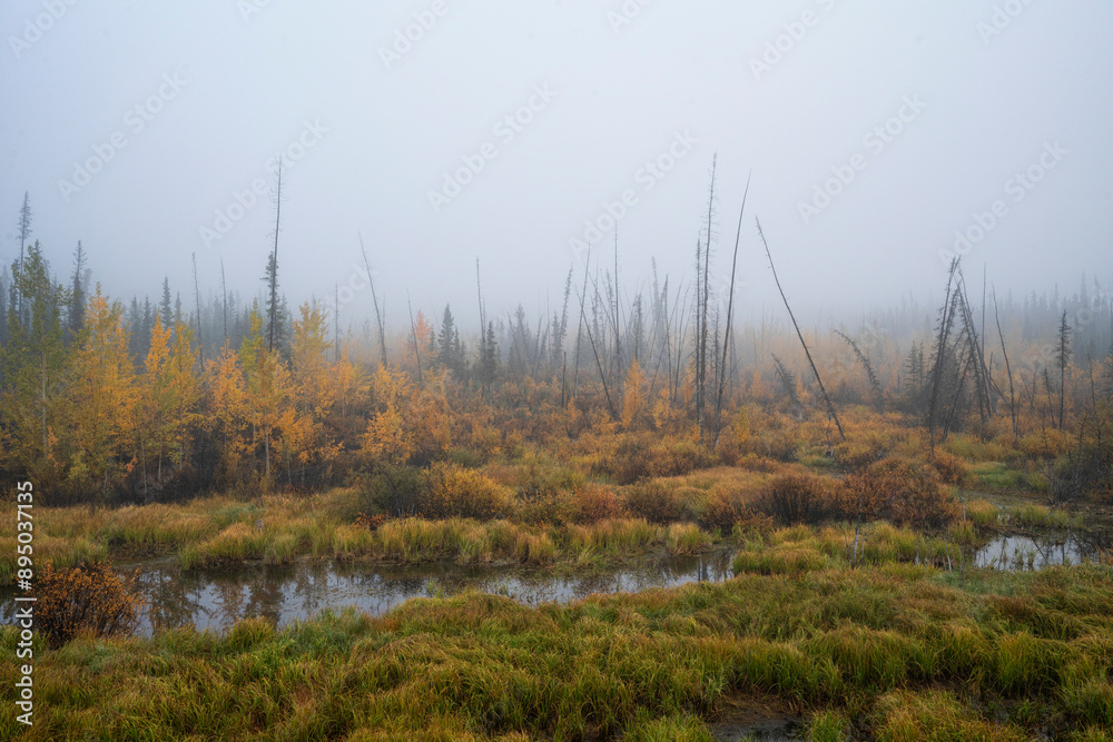 Moody scene along the Yukon's Alaska Highway during autumn; Haines Junction, Yukon, Canada Moody scene along the Yukon's Alaska Highway during autumn; Haines Junction, Yukon, Canada