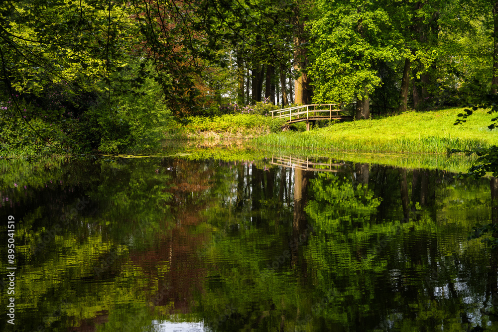 Fototapeta premium pond of water in the woods