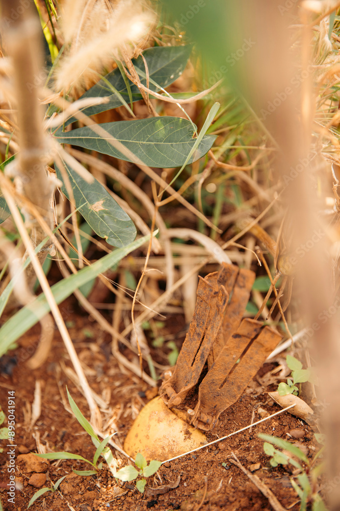 Unexploded bomb from the Vietnam war era in Kok Phung Tai community village in Laos; Laos Unexploded bomb from the Vietnam war era in Kok Phung Tai community village in Laos; Laos