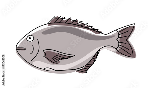 Dorado Fish hand drawn Illustration. Delicious dorado fish for restaurant menu.