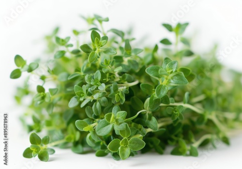 Fresh Thyme Sprigs on White Background