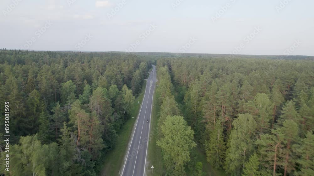 Aerial View of a Road Through a Forest in Summer Aerial View of a Road Through a Forest in Summer