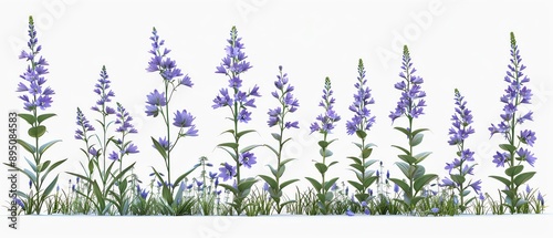 Bluebell plant from small plant to fullgrown compare difference real size have space between tree, realistic isolated on white background photo