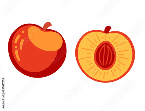 Set of ripe, juicy nectarine fruit. Sweet peach whole and halved with seed. The vibrant, juicy flesh radiates summer sweetness. Vector illustration isolated on white background