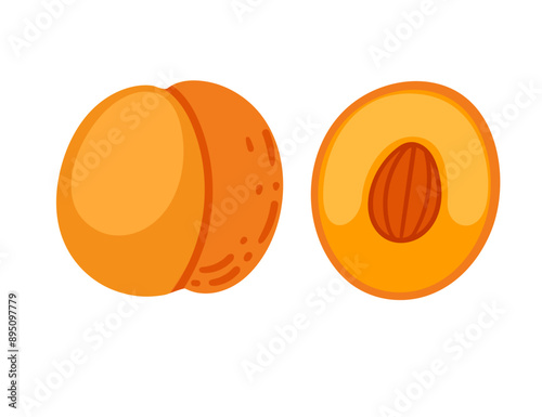 Ripe apricot, whole and halved with seed, and kernel. Fresh tasty cross section fruit in simple cartoon style. Flat vector illustration isolated on white background