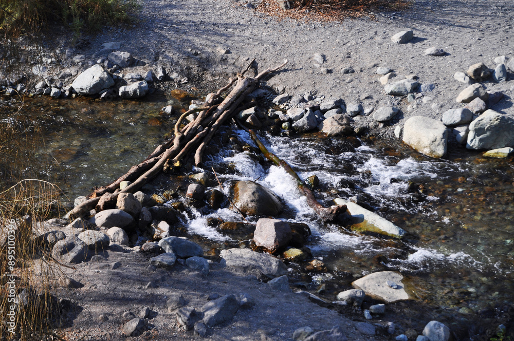 Fallen tree trunk that serves as a bridge to cross the river Fallen tree trunk that serves as a bridge to cross the river