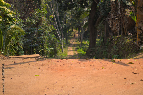 Unpaved road in Palakkad, Kerala