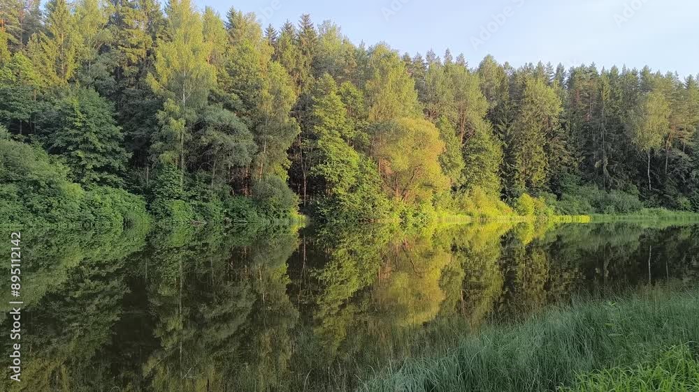 Beautiful natural lake and forest, lake Beautiful natural lake and forest, lake