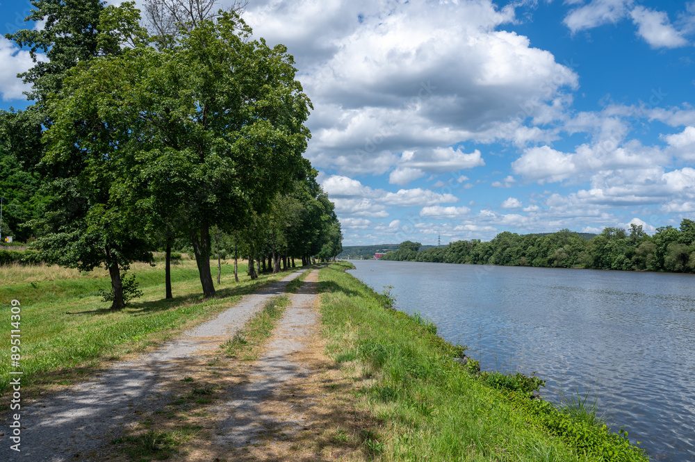 River bank in green nature with blue sky River bank in green nature with blue sky