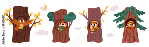 Cartoon owls in homes. Funny forest birds in trees hollows. Animal characters read book or drink tea. Owlets get ready for bed. Woodland birdies. Fir trunks hole. Garish vector set