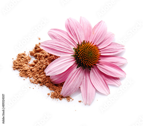 Echinacea flowers with root powder in closeup on white background photo