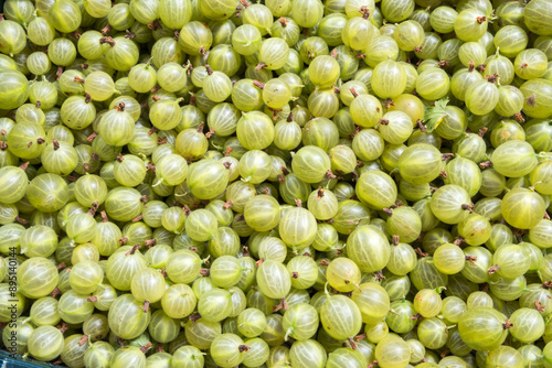 freshly harvested gooseberries in the box