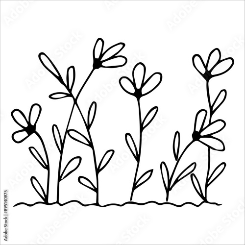hand drawn wildflowers flower bed, monochrome, black and white