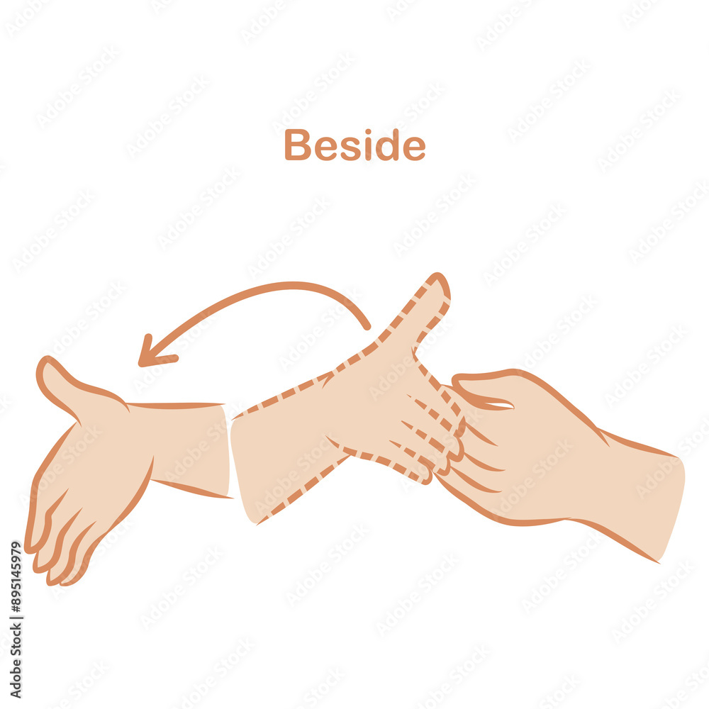 Fototapeta premium ASL Beside