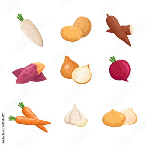 Root vegetables set. Turnip, radish, sweet potato, potato, jicama, garlic, onion, carrot, and cassava.