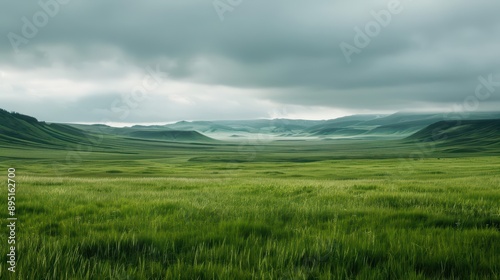Prairies are showcased in an ultramodern, supernatural scene, featuring vast grassy fields and ample copy space