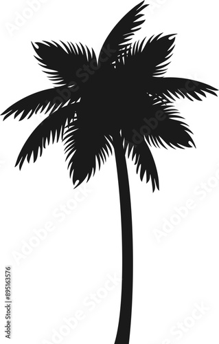 Palm Tree, Graphic Illustration Vector 