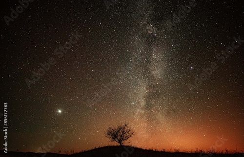 Fototapeta Naklejka Na Ścianę i Meble -  Lone tree