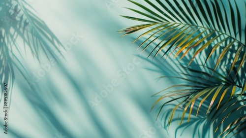 Palm Leaf Shadows on Blue Wall