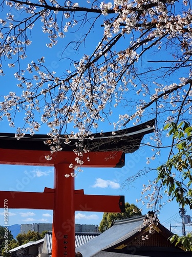 Puerta torii roja con flores y cielo azul
