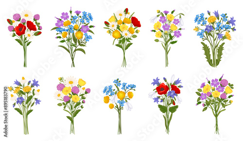 Beautiful summer flowers bouquets. Meadow blooming botanica. Wild plants. Cute poppies. Bells and dandelions. Herb blossoms. Colorful field flora. Wildflowers bunches. Recent vector set