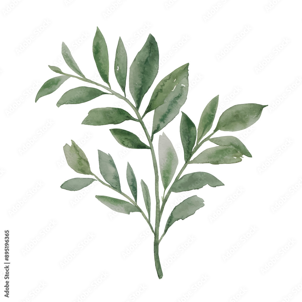 Naklejka premium A single branch with green leaves, painted in watercolor