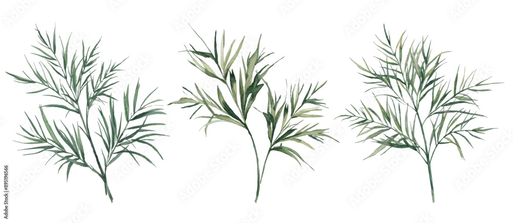 Watercolor painting of three plant branches with green leaves