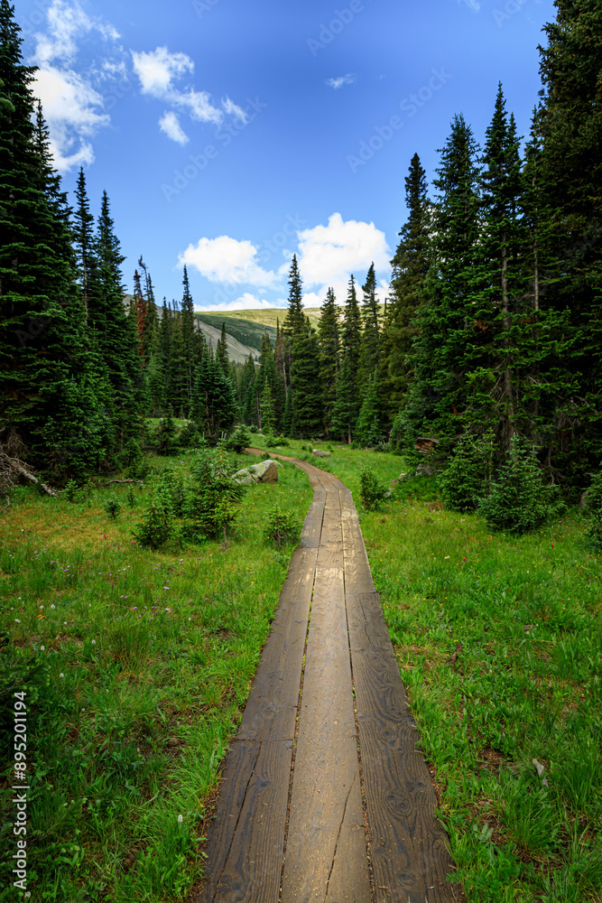 Fototapeta premium A hiking trail in the Indian Peaks Wilderness of Colorado