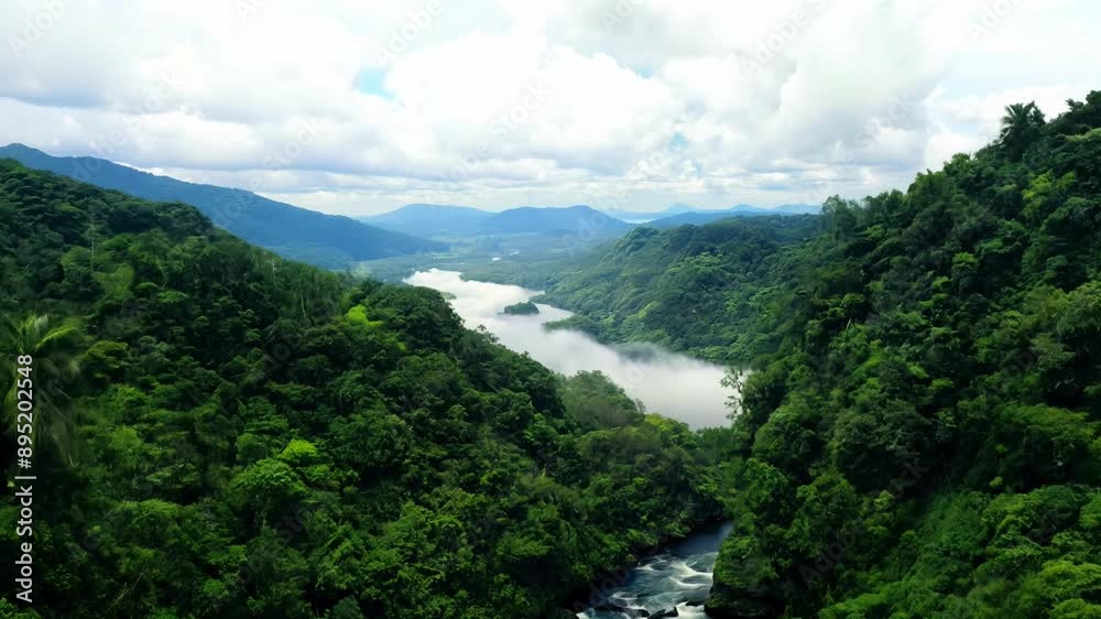 A river with a lush green forest on either side. The water is clear and the sky is cloudy A river with a lush green forest on either side. The water is clear and the sky is cloudy