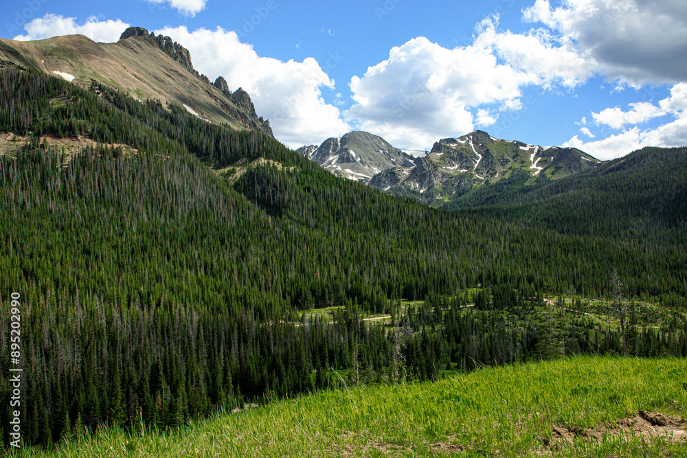 Colorado Mountain Landscape in the summer season Colorado Mountain Landscape in the summer season