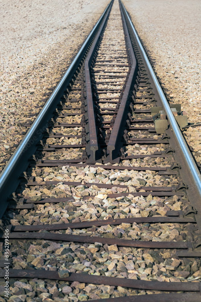 Close-up weathered railroad track with a prominent crack running down the middle, highlighting the rugged textures and the passage of time, essence of decay and resilience Close-up weathered railroad track with a prominent crack running down the middle, highlighting the rugged textures and the passage of time, essence of decay and resilience