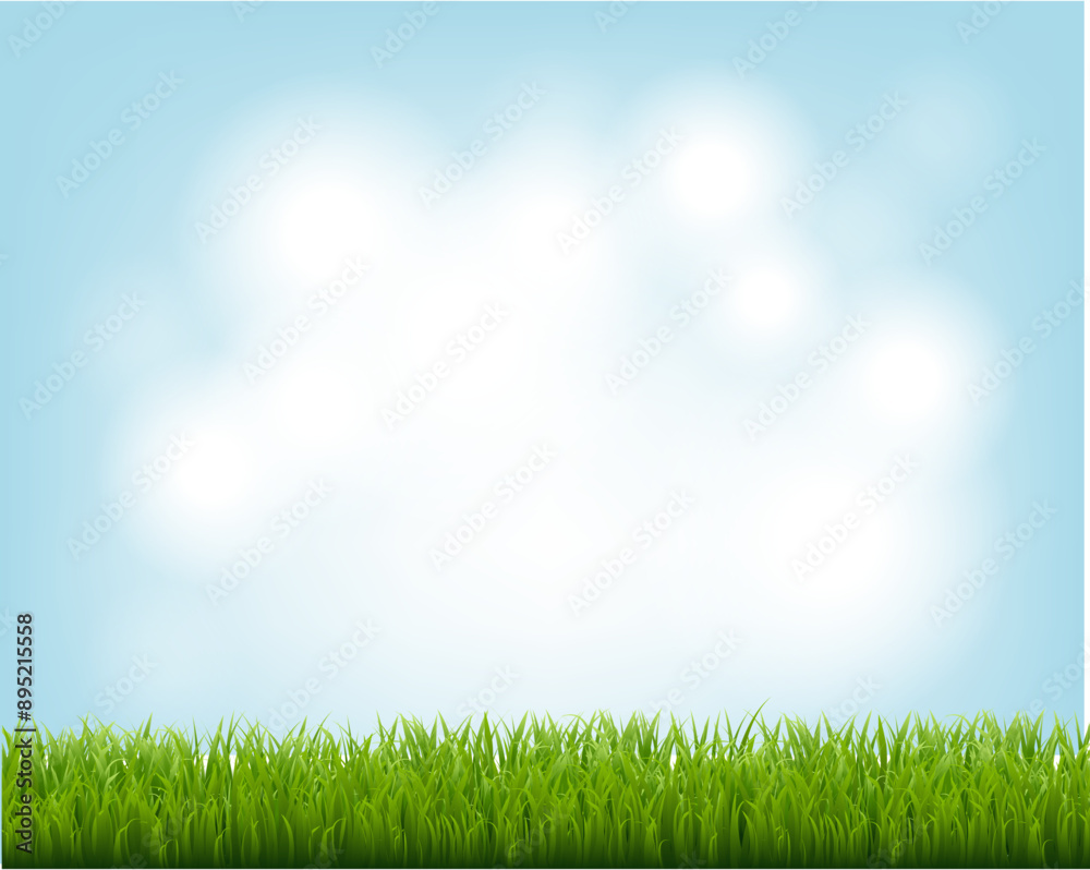 Fototapeta premium Green Grass Border And Blue Sky