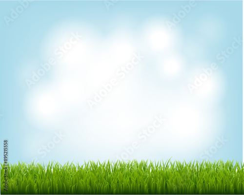 Green Grass Border And Blue Sky