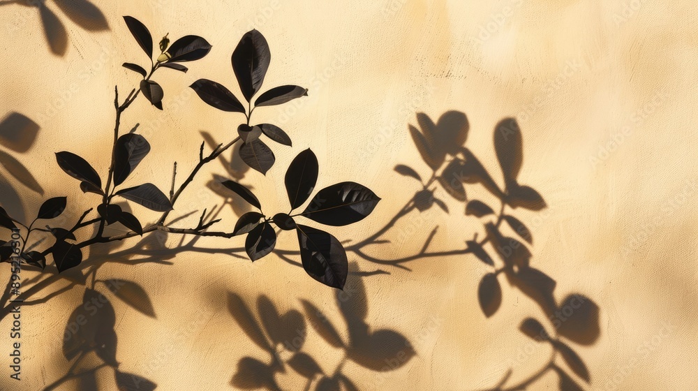 Shadow silhouette of floral branches on beige wall Shadow silhouette of floral branches on beige wall
