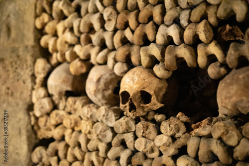 A wall of human bones and skulls in the catacombs of Paris