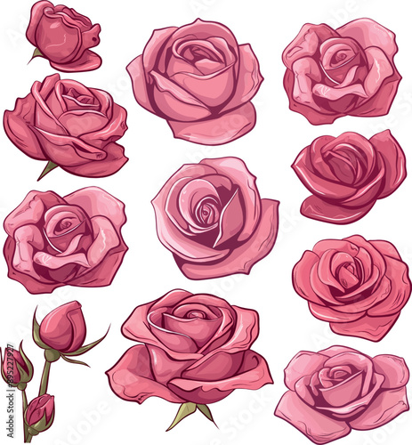 Pink roses design drawing