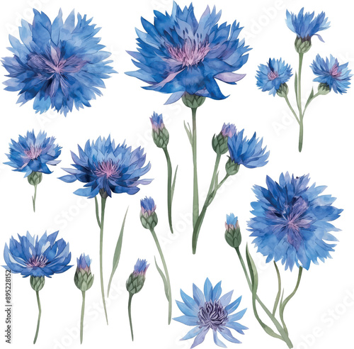 blue cornflowers set design