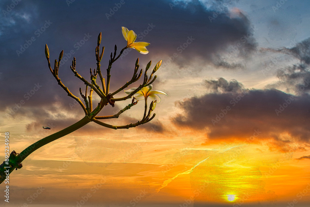 BEAUTIFUL FLOWER AND BEAUTIFUL SKY.