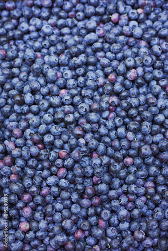 background of blueberries