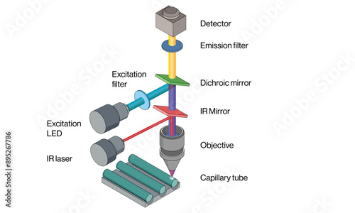 Microscale Thermophoresis Principle and Instrumentation Vector Illustration on White Background, Thermophoretic Technique, Science Graphic.